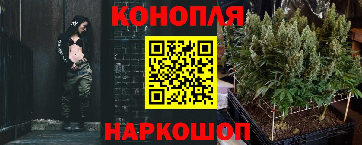 Канабис планчик Владимир